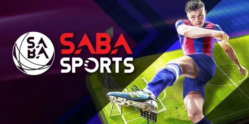 Experiences To Play At Saba Sport Effectively