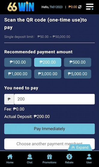 🌐Step 2: Enter or select the amount you want to pay.