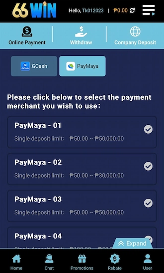 🌐Step 1: Go to the Deposit page and select PayMaya as the deposit method. 