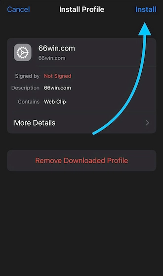 🌐Step 4: Select the profile and press “Install”.
