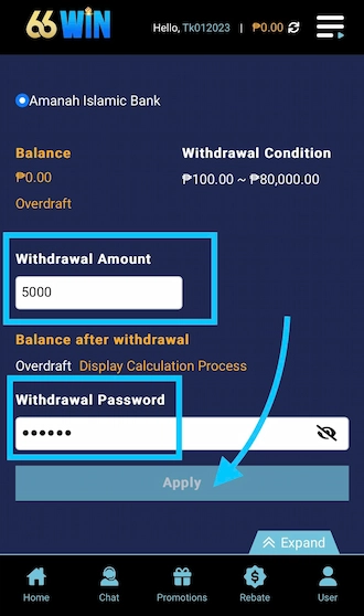 🌐Step 3: Please fill in the amount withdrawn and the withdrawal password.