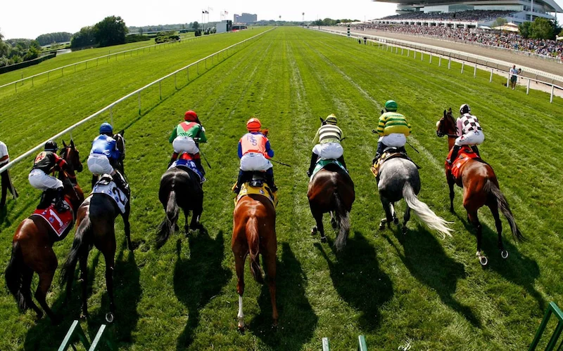 Horse Racing Basics