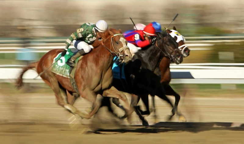 Important Horse Racing Betting Terms