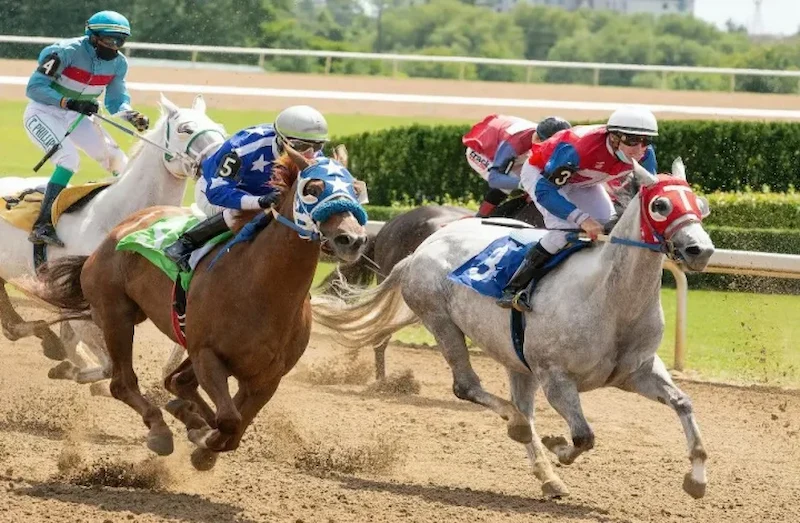 The Most Popular Horse Racing Bets You Should Try