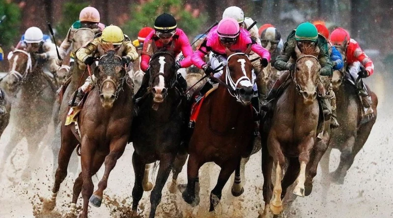 Important Betting Angles in Horse Racing